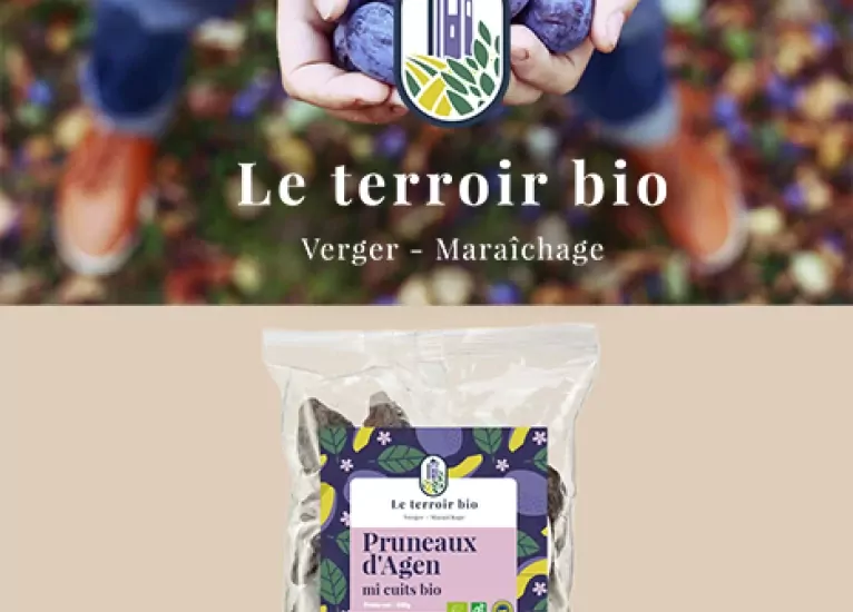 Génériques - Identité visuelle