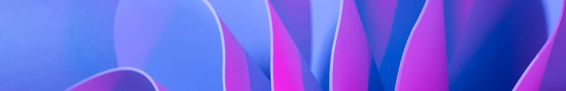 Motion Design